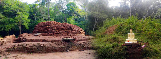 Ancient Sapumalgaskada Monastery in Vavuniya