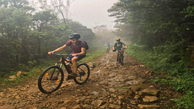 Cycling from Polonnaruwa