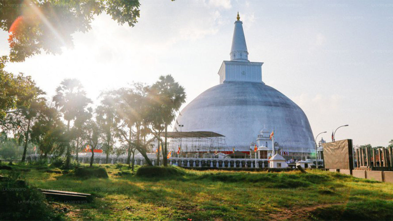 Buddhist PIlgrimage Tour (12 Days)