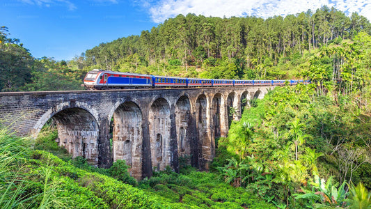 Highlights of Sri Lanka by Train (12)