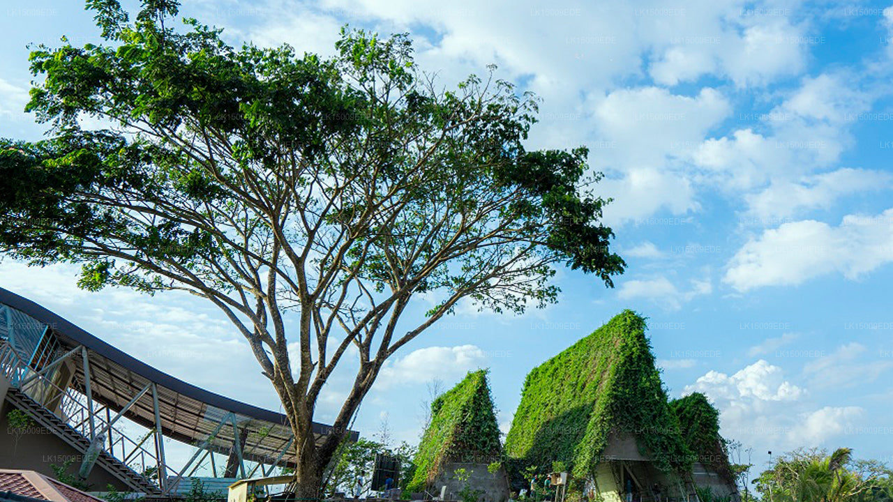 Bolagala Agro Floating Resort, Negombo