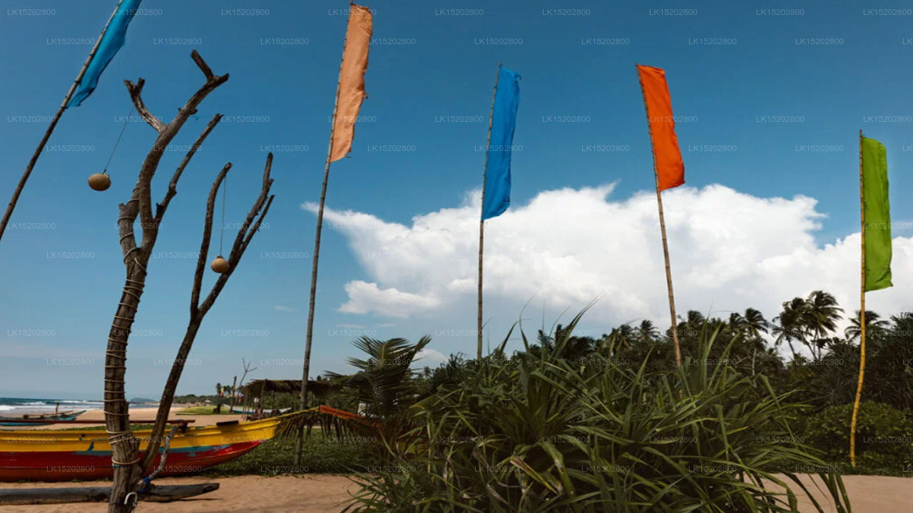 Amal Beach Hotel, Bentota