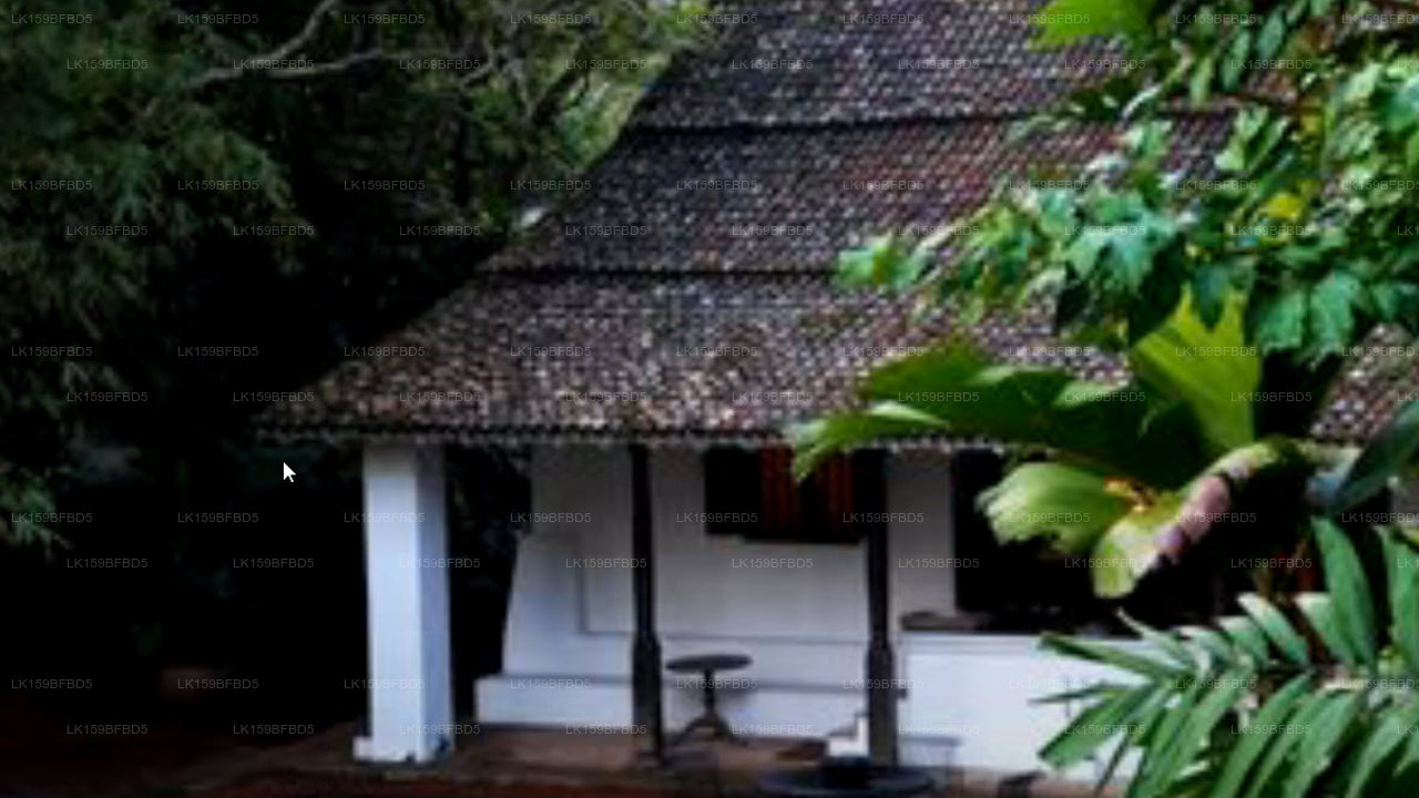 Bawa House 87, Bentota