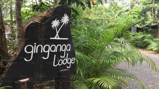 Ginganga Lodge, Galle