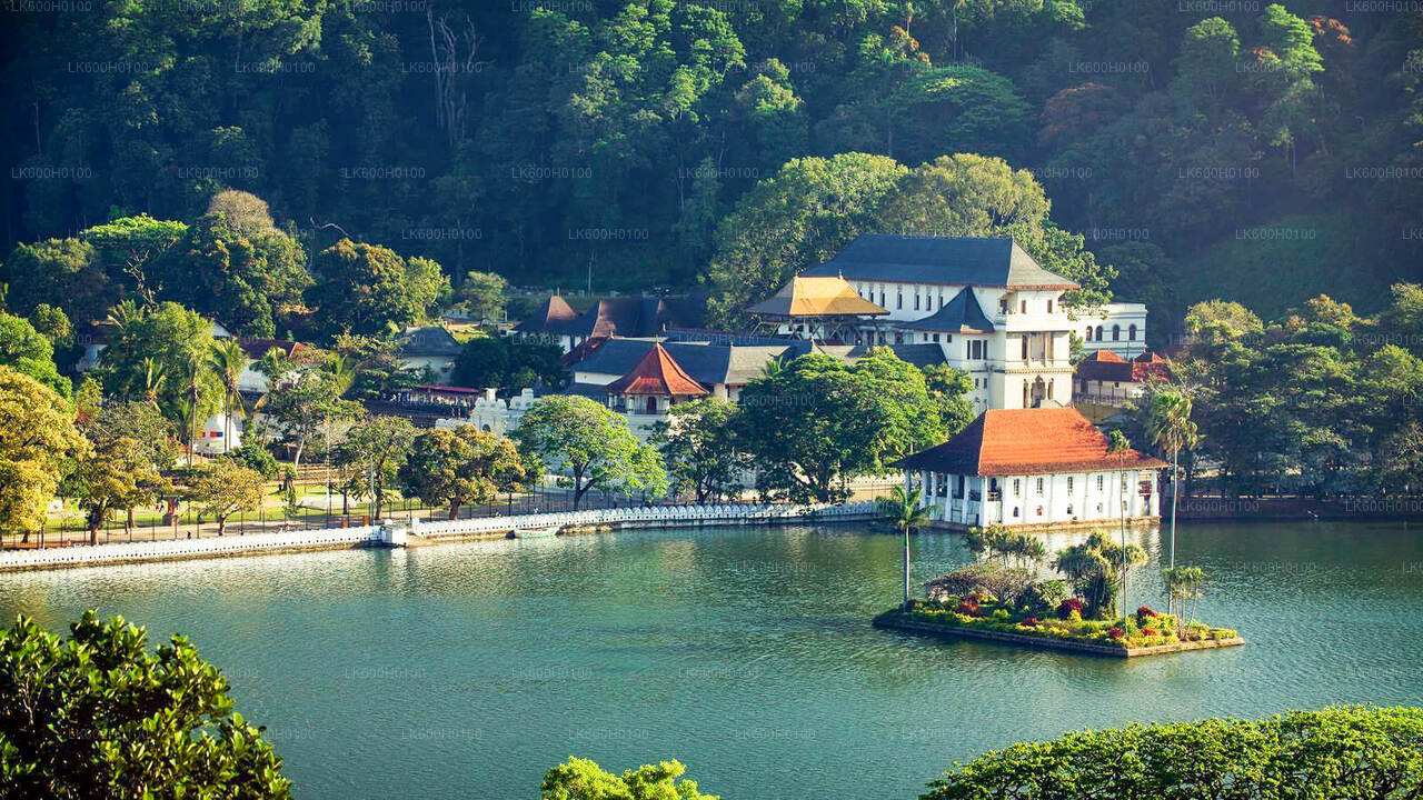 Kandy City Tour from Kitulgala