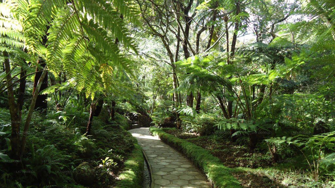 Hakgala Botanical Gardens Entrance Tickets