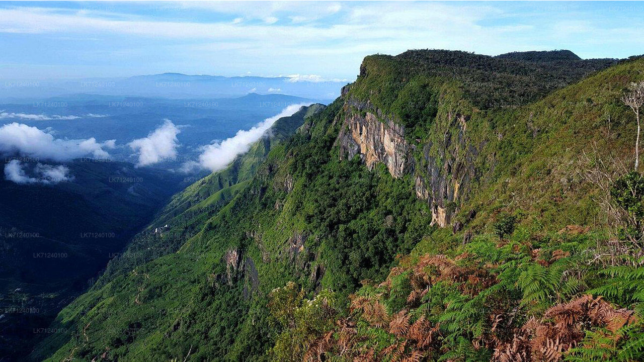 Horton Plains National Park Entrance Ticket