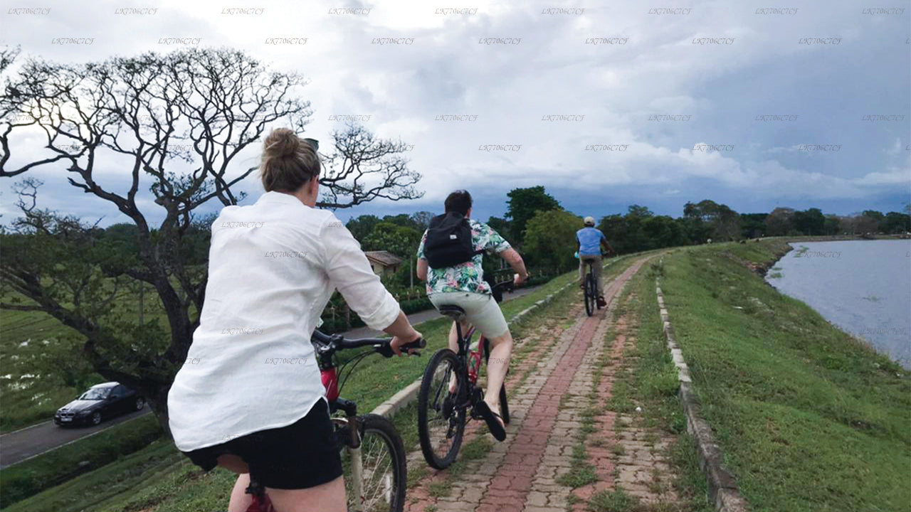 アヌラーダプラからのサイクリング