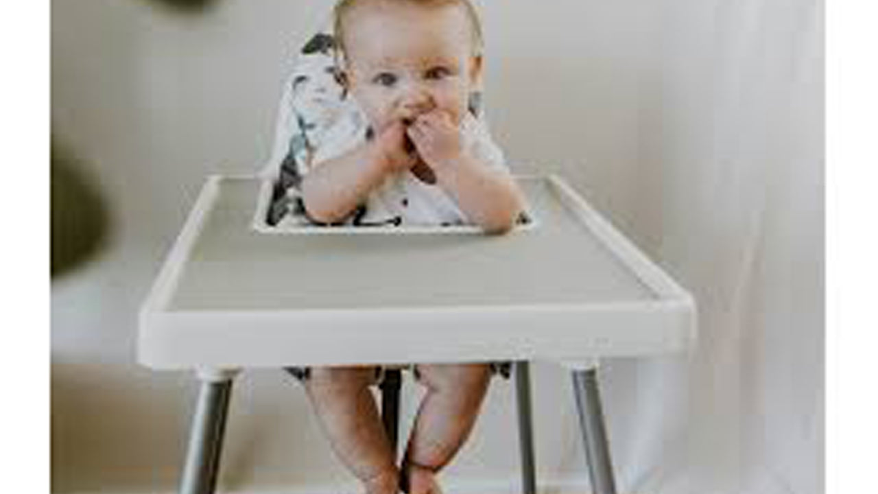 Baby High Chair Rental