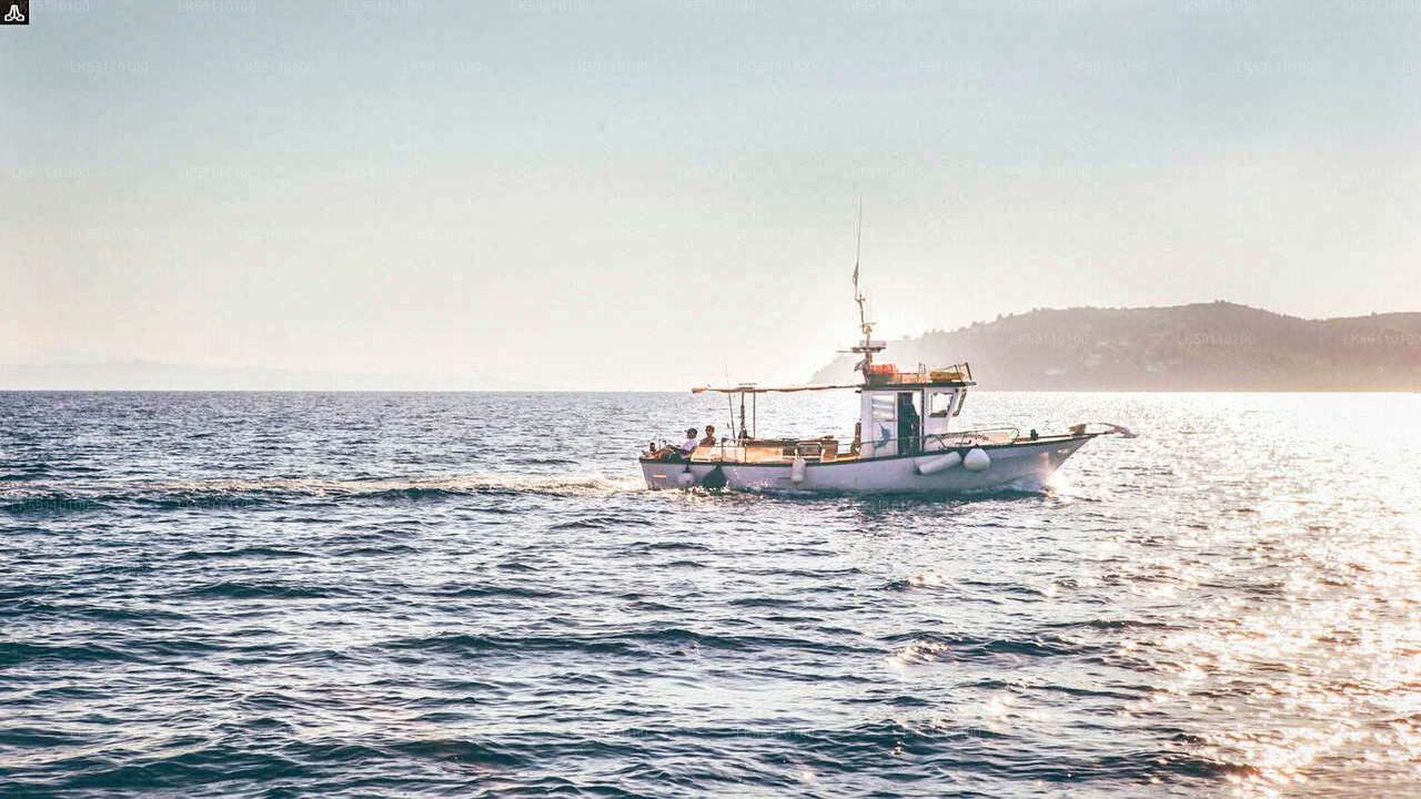 ヒッカドゥワ発深海釣りボートツアー