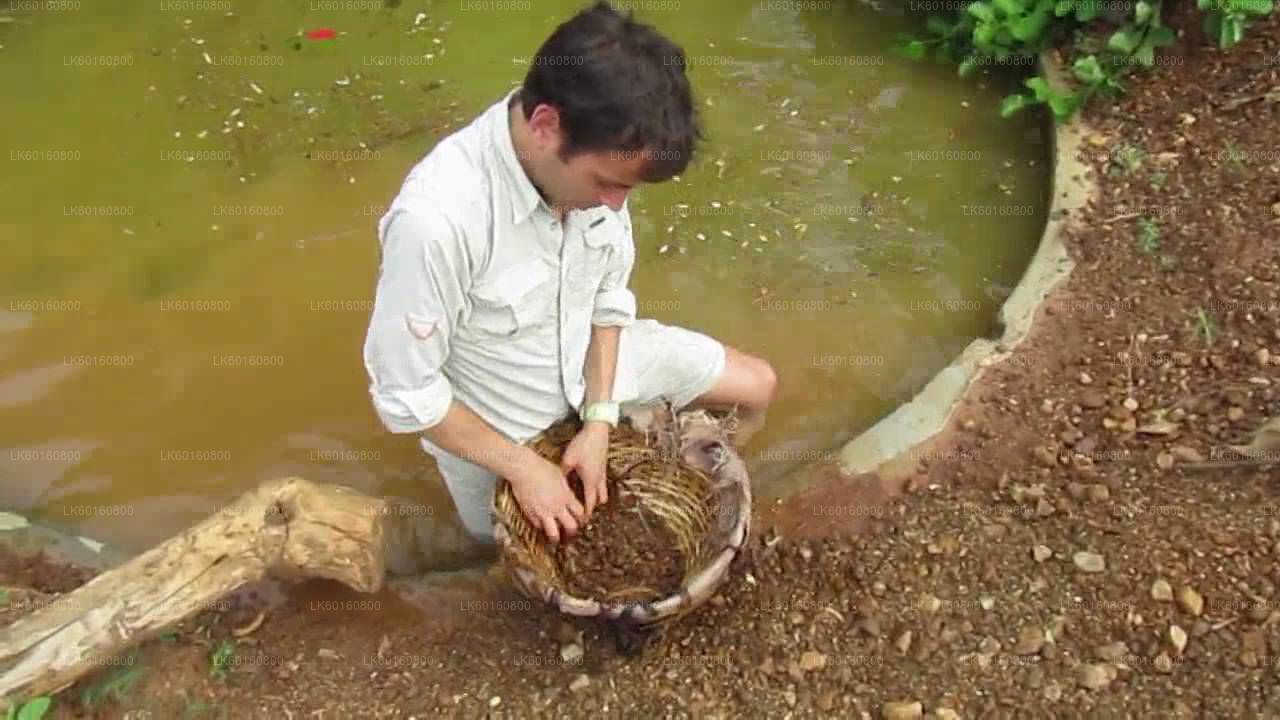 カルタラからラトゥナプラの宝石鉱山を探索