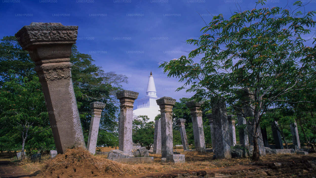 ネゴンボから見た神聖な都市アヌラーダプラ