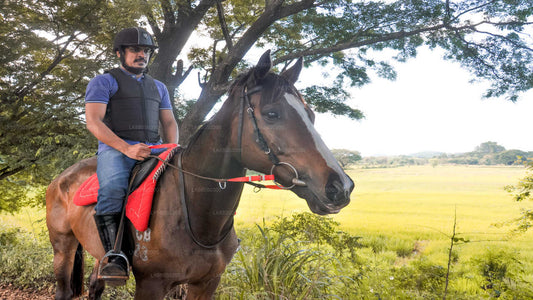 ハバラナから村を巡る乗馬ツアー
