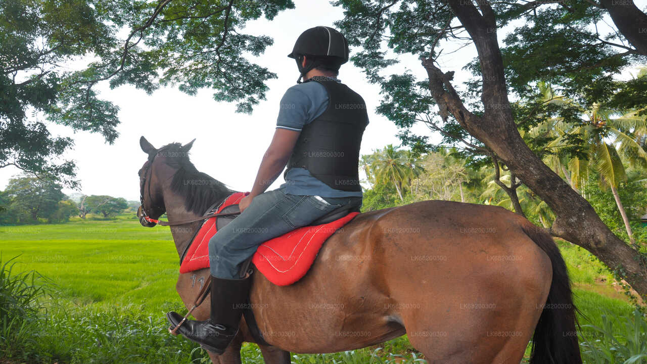 シギリヤから村を巡る乗馬ツアー
