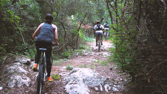コロンボ発アーバン ジャングル トレイル サイクリング ツアー