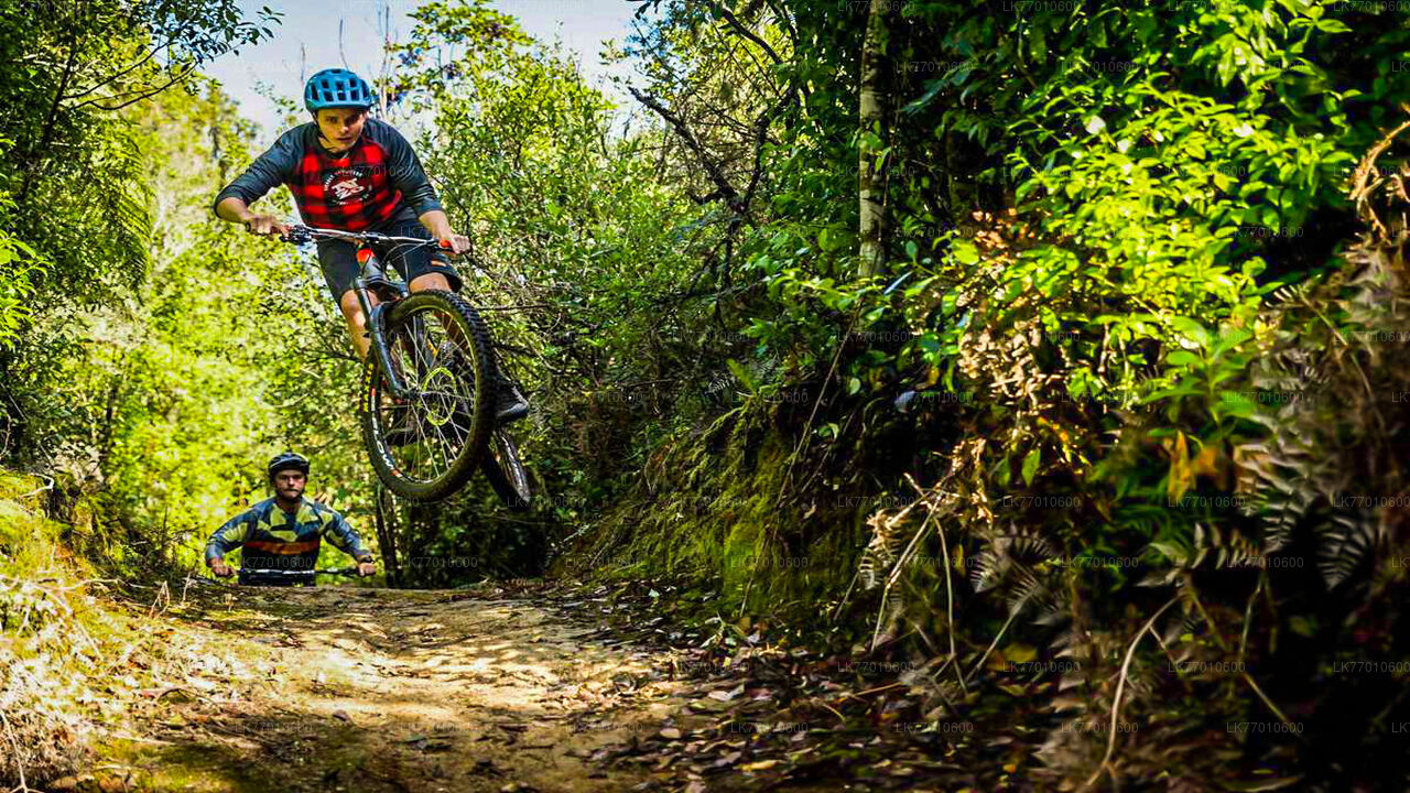 コロンボ発アーバン ジャングル トレイル サイクリング ツアー