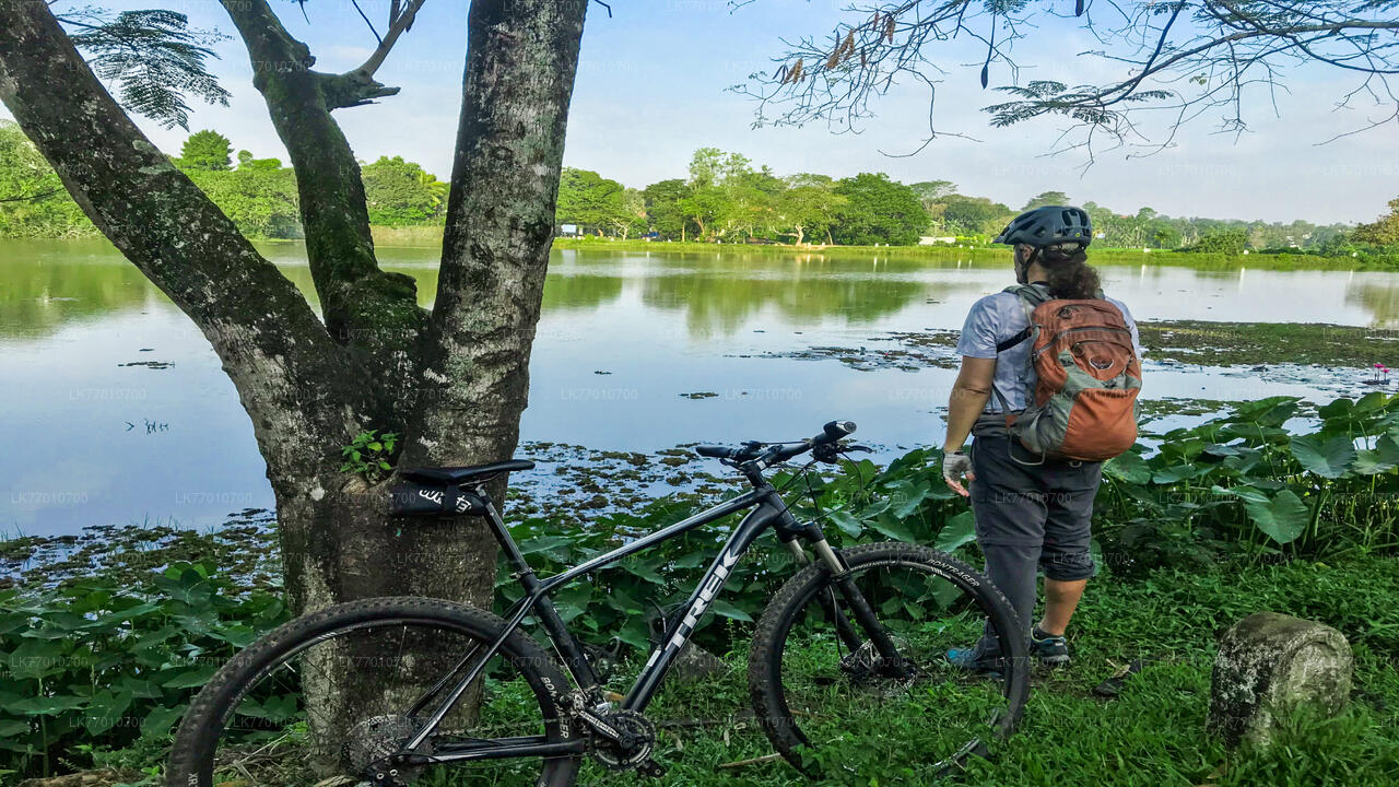 タランガマ湿原でのサイクリング