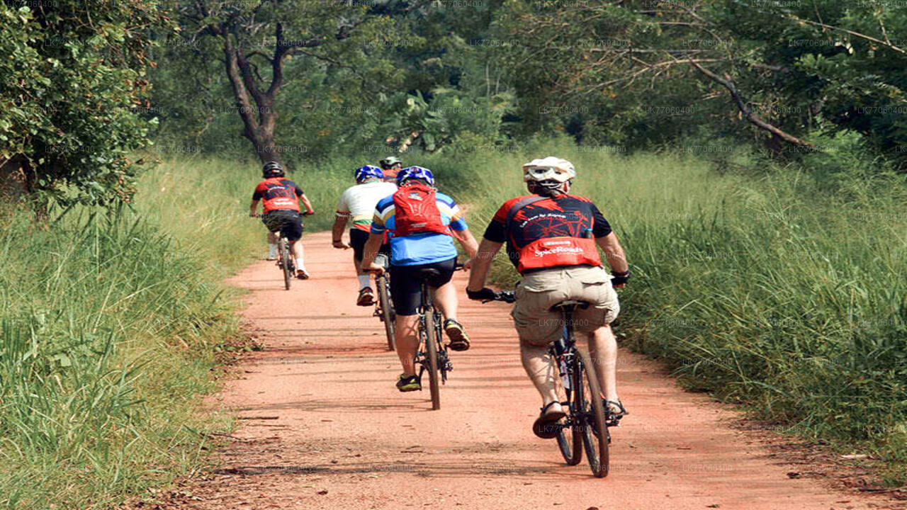 アヌラーダプラ発ラジャンガナヤ村サイクリングツアー