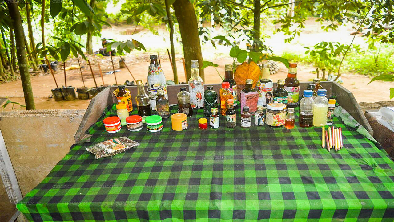 ピンナワラからのスパイス ガーデン訪問と料理デモンストレーション