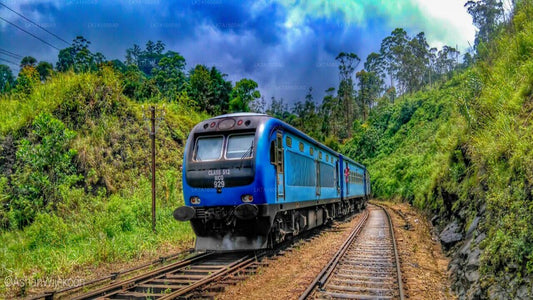 コロンボからバドゥラまで電車に乗車（列車番号：1005「ポディ・メニケ」）