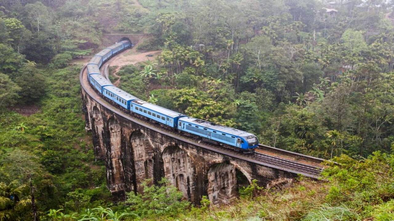コロンボからバドゥラまで電車に乗車（列車番号：1005「ポディ・メニケ」）