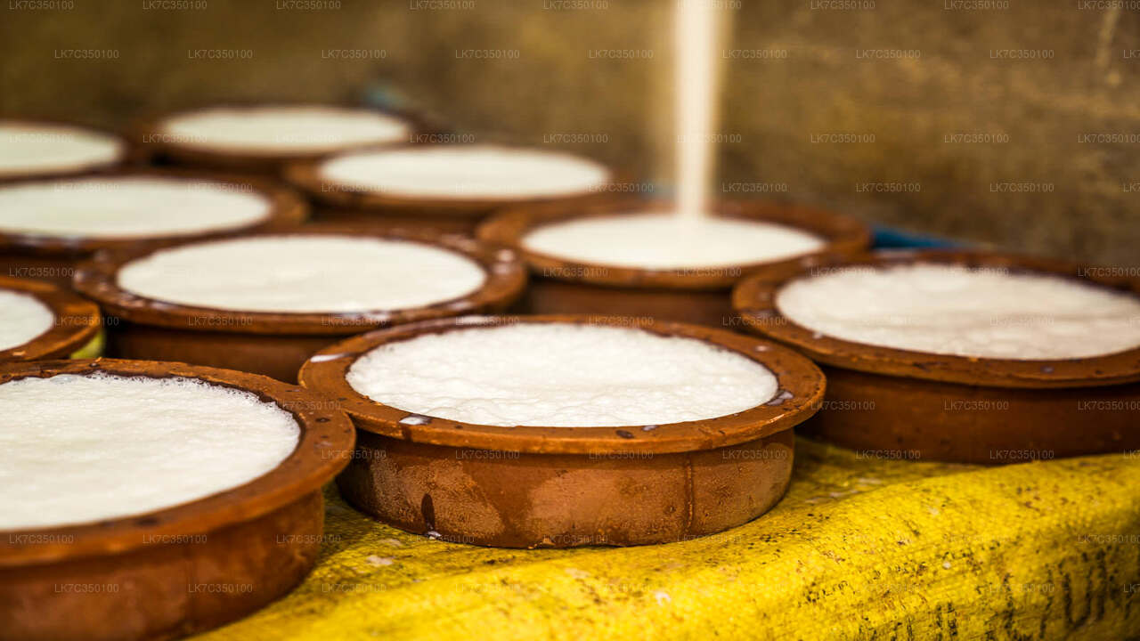 ティッサマハラマの豆腐加工体験