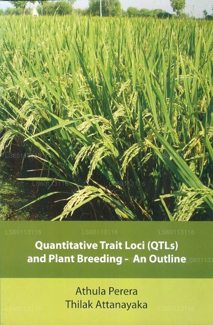 量的形質遺伝子座 (Qtls) とアウトライン上の植物育種