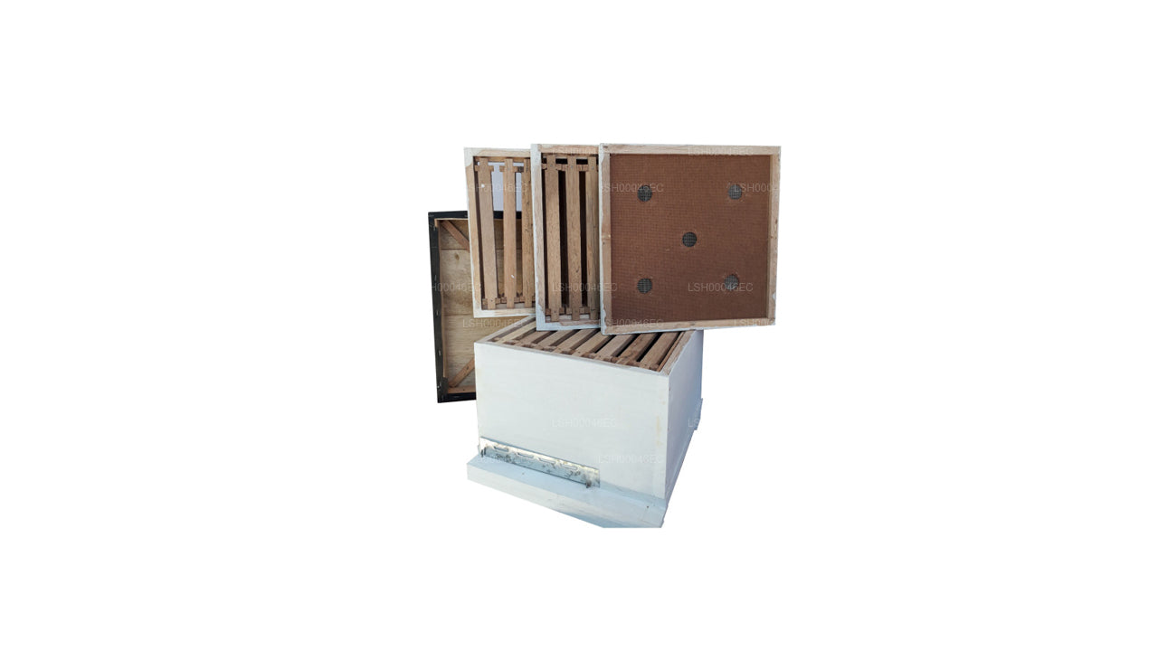 Lakpura ミツバチボックス 8 フレーム標準最高品質の木製ミツバチボックスすべての部品付き