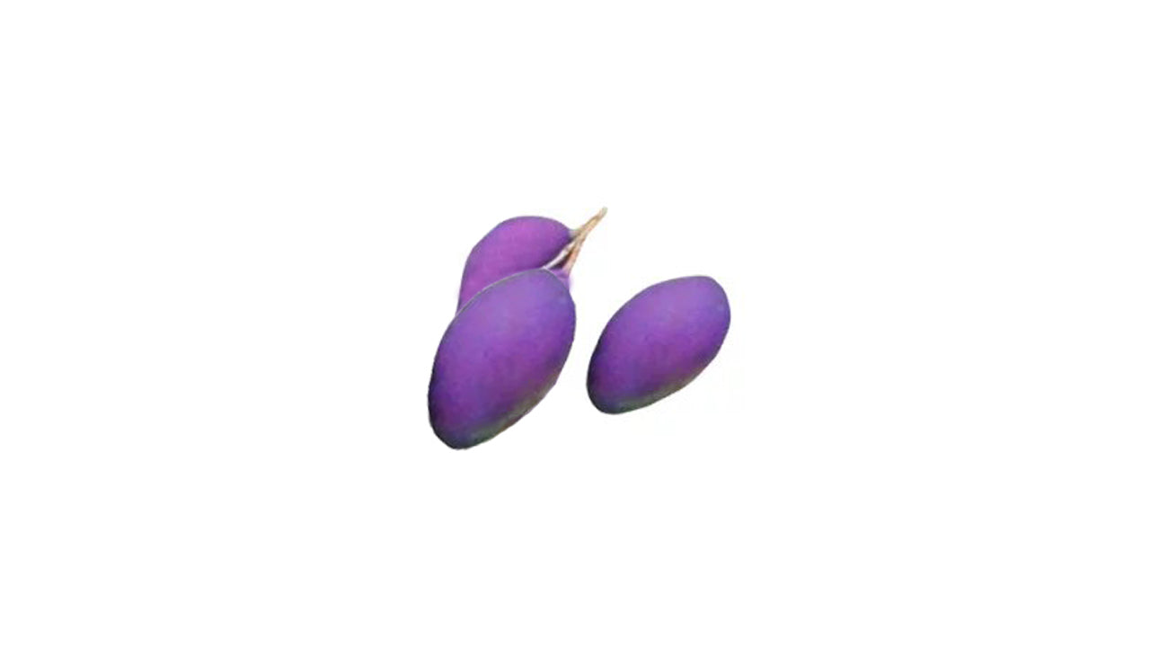 タイの紫マンゴー (තායි දම් අඹ බද්ධ) 果樹